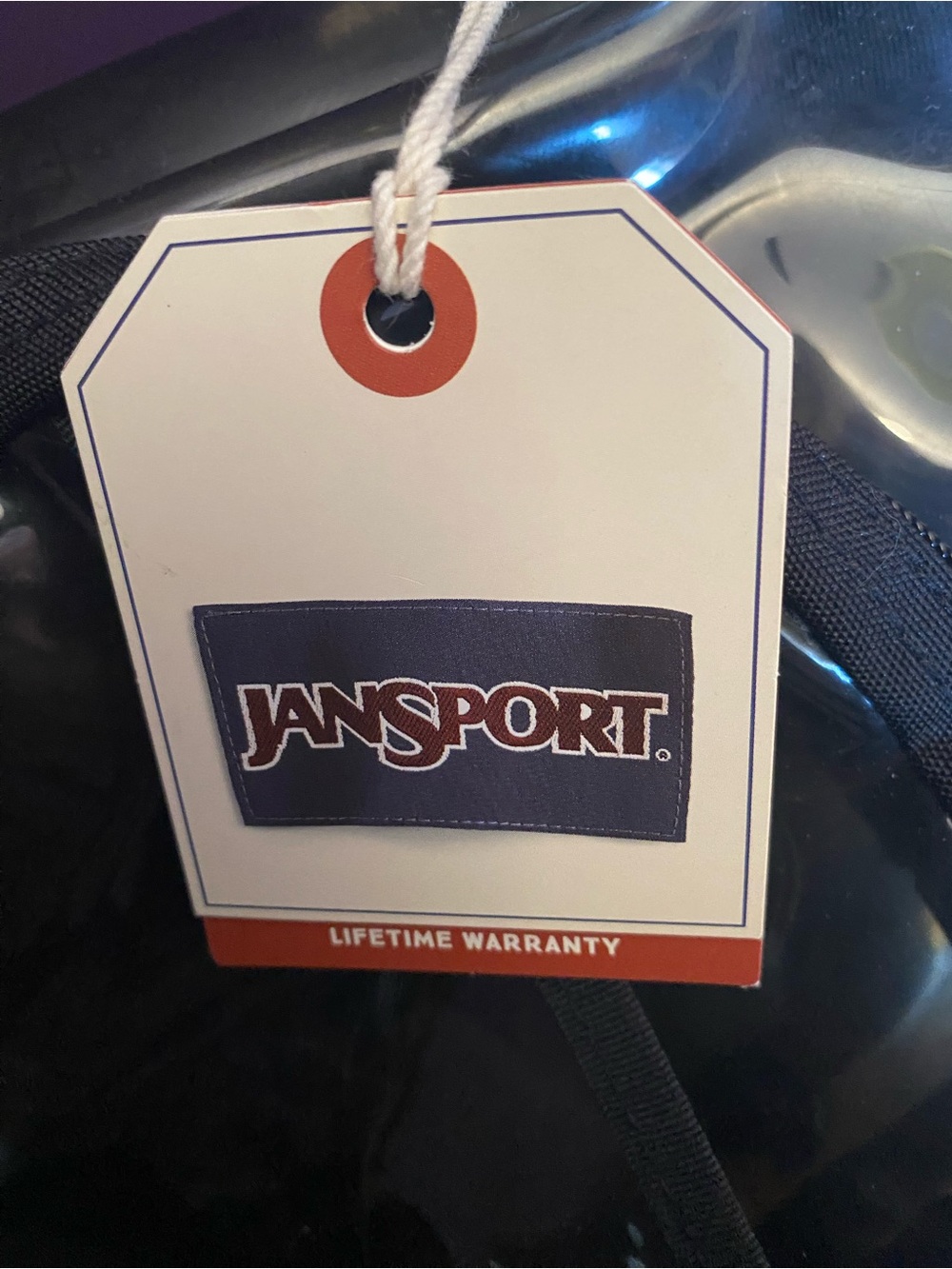 Jansport Black Clear PVC Mini Backpack - Picture 4 of 6